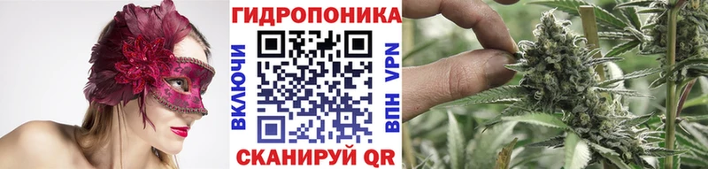 Шишки марихуана конопля  мега как войти  Нефтекумск  где купить наркоту 